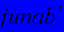 $junab^{\prime }$