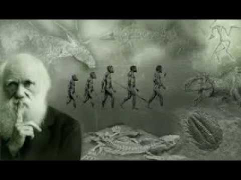 Evolución según charles darwin
