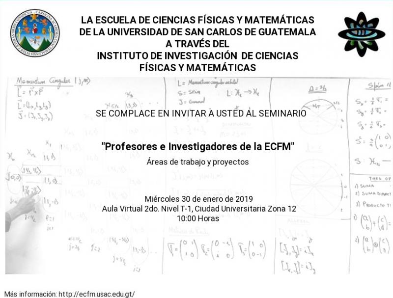 Profesores e investigadores de la ECFM