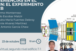 Experiencias en el CERN: El experimento LHCb
